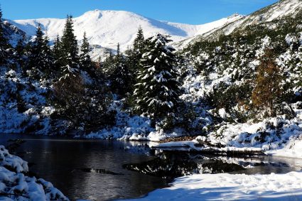 Zakopane – jak znaleźć idealny nocleg w sercu tatr?