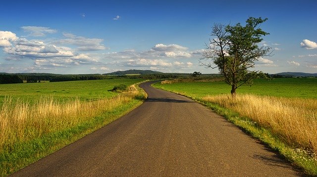 Ochrona truskawki – jak uzyskać najlepsze plony?
